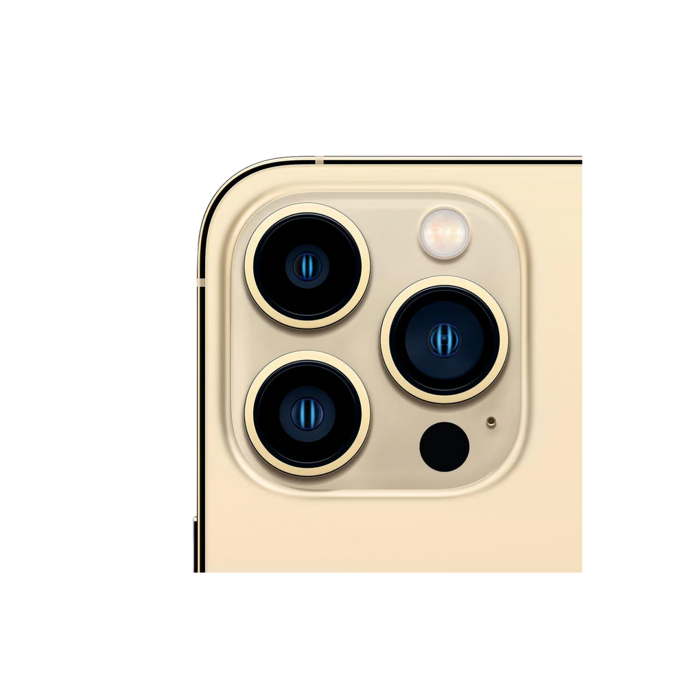 iPhone 13 Pro - 256 Go - Bon État