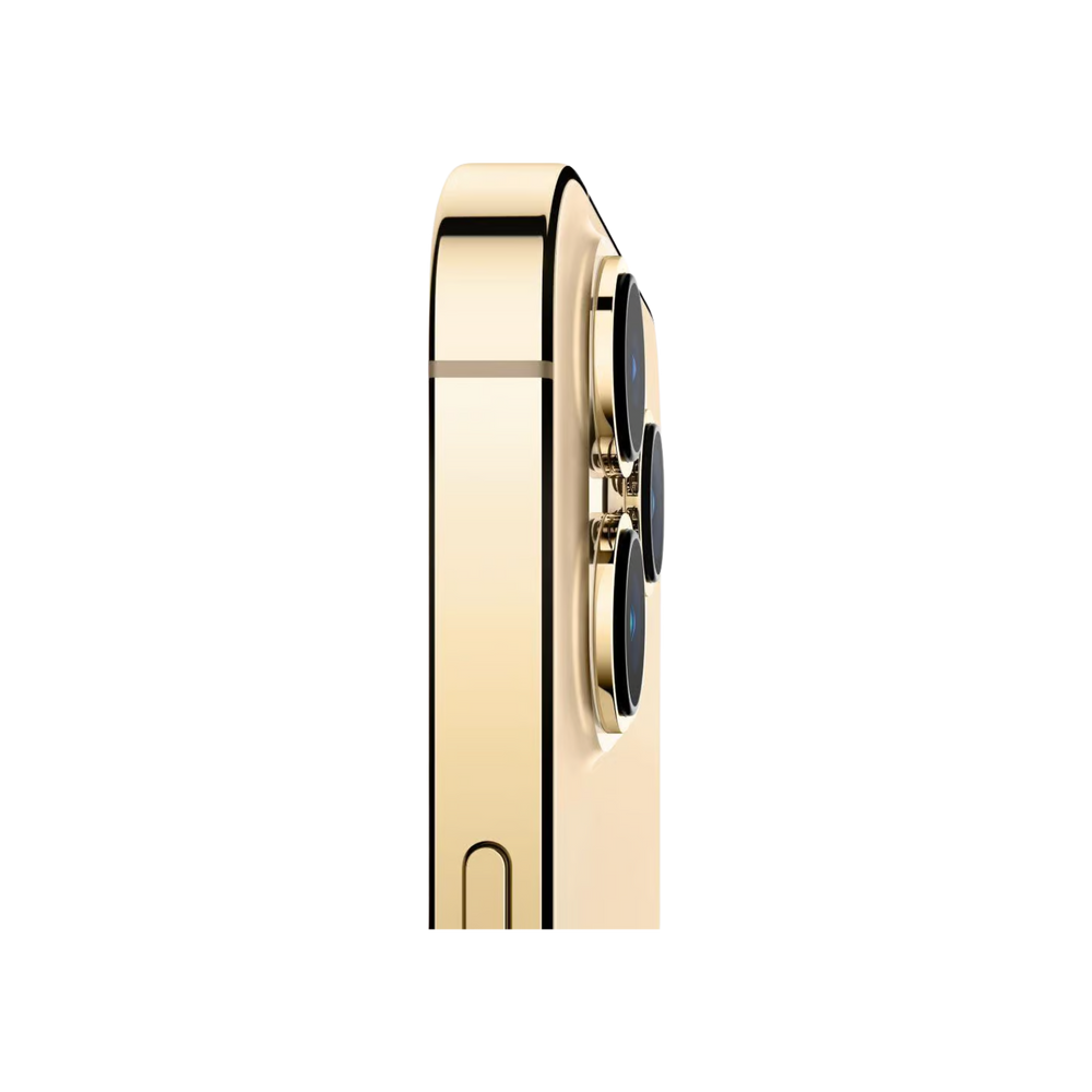 iPhone 13 Pro - 256 Go - Bon État